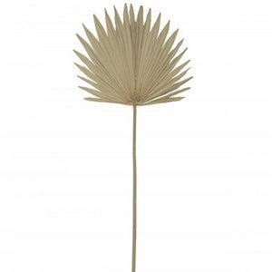 Branch - Sun Fan Palm 103cm