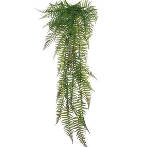 Plant - Eagle Fern hanging 110cm