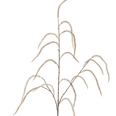 Spray - Amaranthus CREAM 119cm